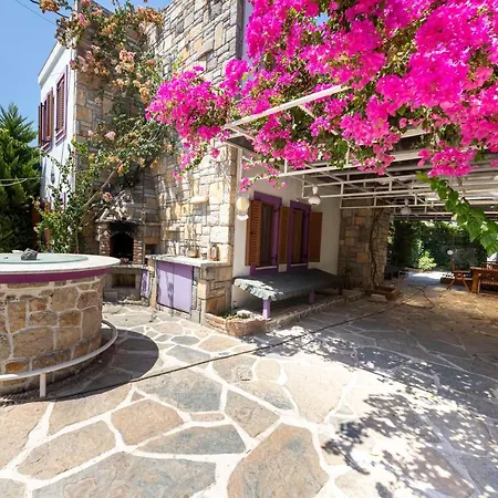 Apartment Captivating Stone House With Patio Near Beach In The Heart Of Bodrum